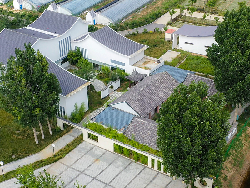 img of Museum Rigid Steel Frame Building Solution for Cultural Use