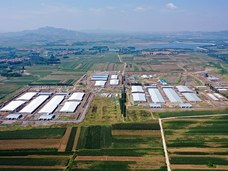 img of Steel Farm Park Solution for Steel Frame Barn Construction