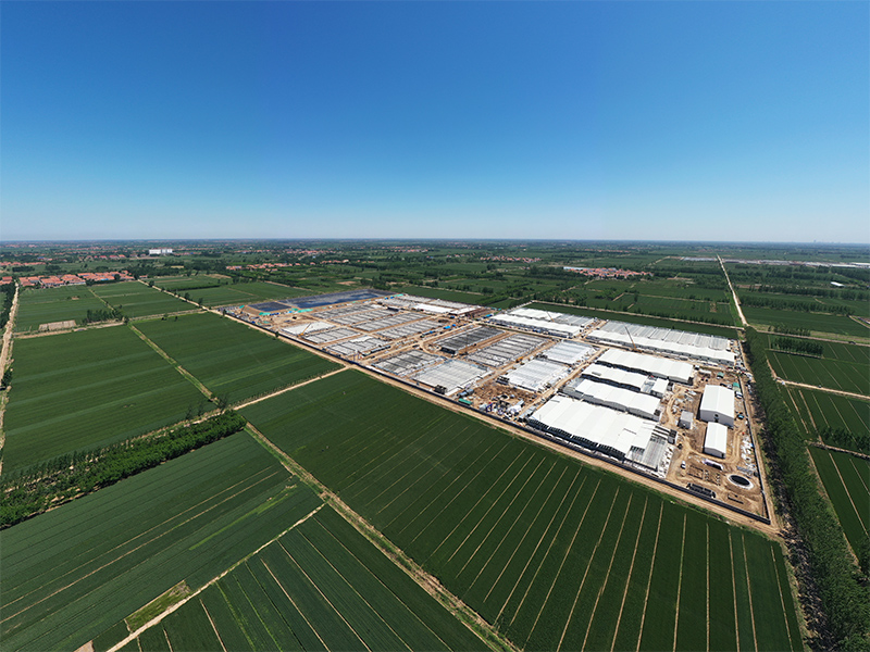 img of Steel Frame Agricultural Building for Modern Steel Farm Buildings