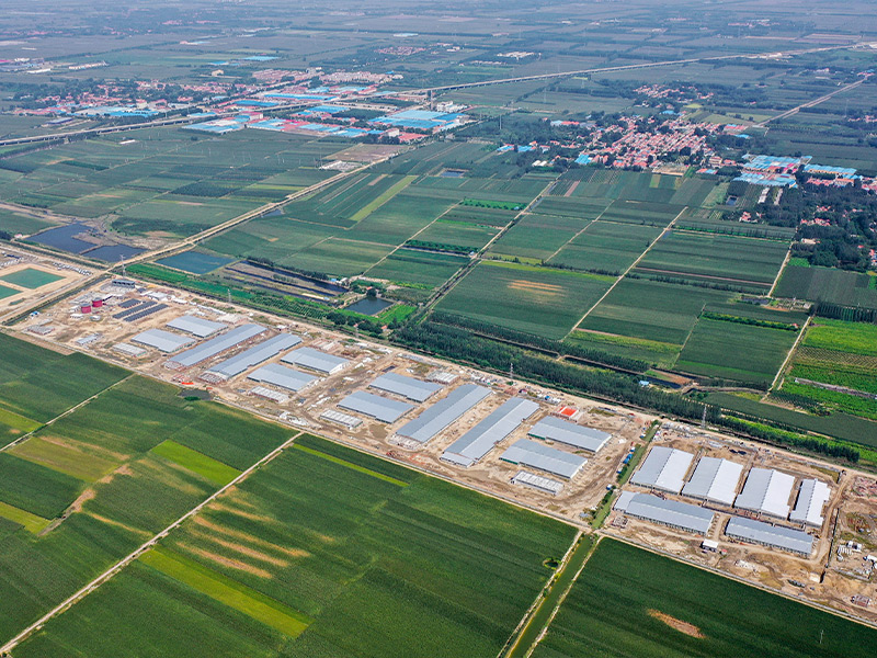 Steel Farm Park Solution for Steel Frame Barn Construction