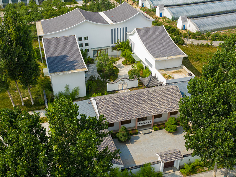 Museum Rigid Steel Frame Building Solution for Cultural Use
