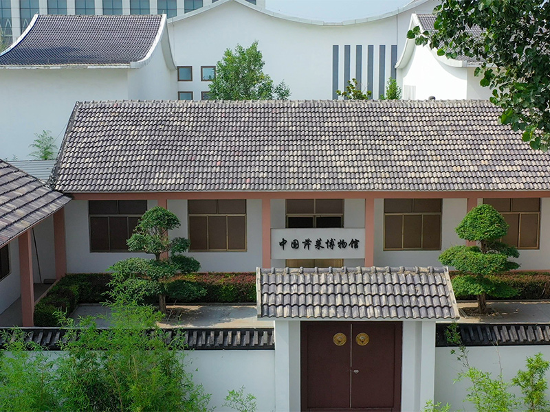 Museum Rigid Steel Frame Building Solution for Cultural Use