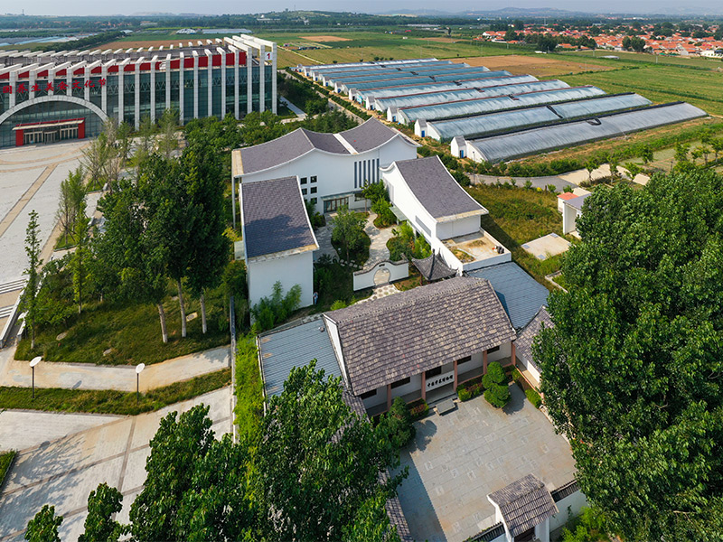 Museum Rigid Steel Frame Building Solution for Cultural Use
