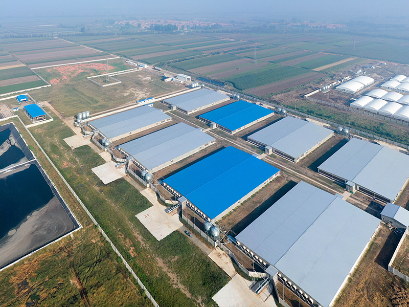 Steel Farm Park Solution for Steel Frame Barn Construction